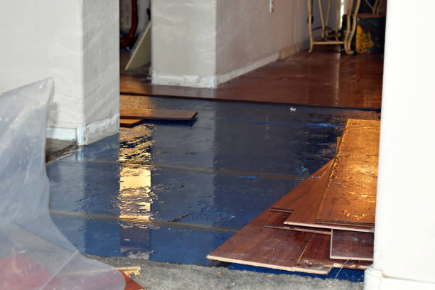 Professional Emergency Water Damage Restoration technician working in Marstons Mills, MA